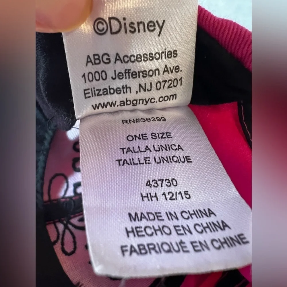 Disney questions leave
